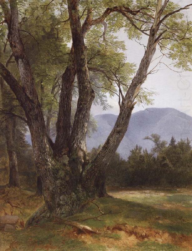 Shandaken,Ulster County, Asher Brown Durand